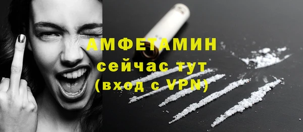 сатива Медногорск