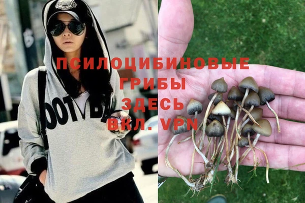 кокс Мегион