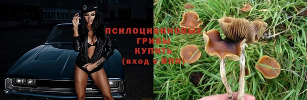 кокс Мегион