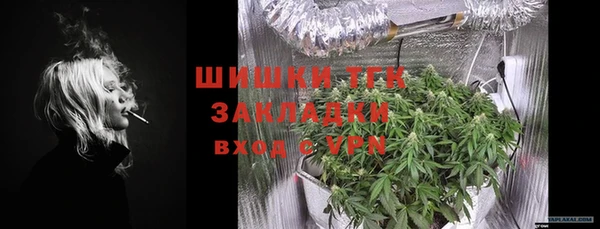 сатива Медногорск