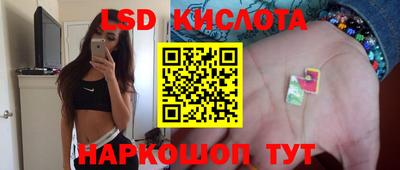 прущие грибы Абинск