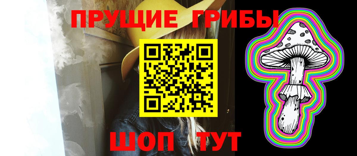 Галлюциногенные грибы Psilocybe Алейск