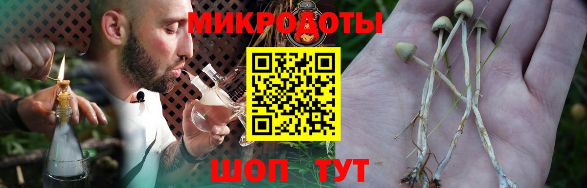 Псилоцибиновые грибы MAGIC MUSHROOMS  Вход с VPN  Алейск 